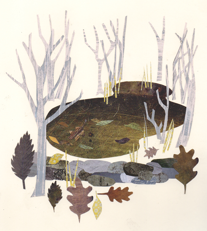 the swamp