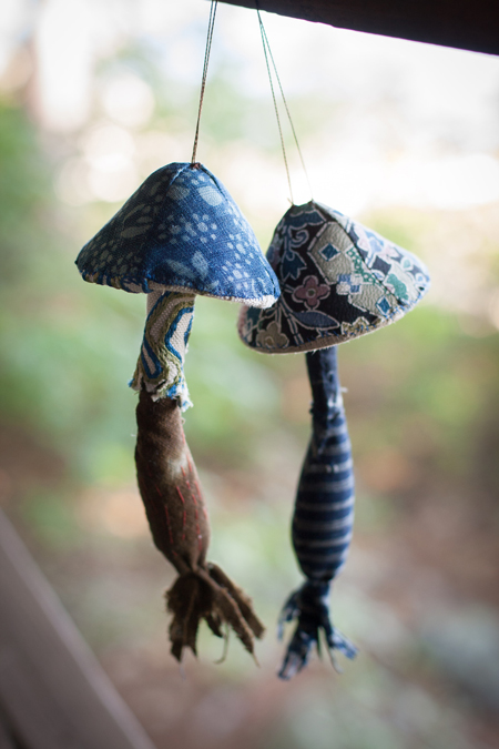 andi's toadstools