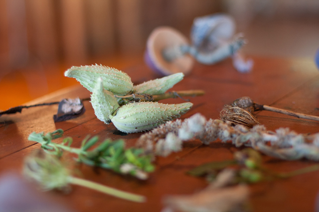 botanical inspiration