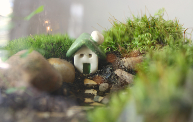 little house
