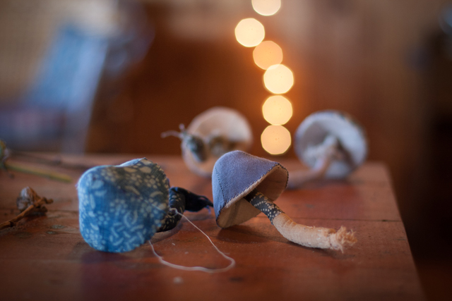 squam_toadstools