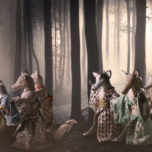 a story of foxes the fox's wedding