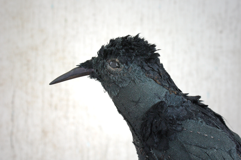 victorian bird