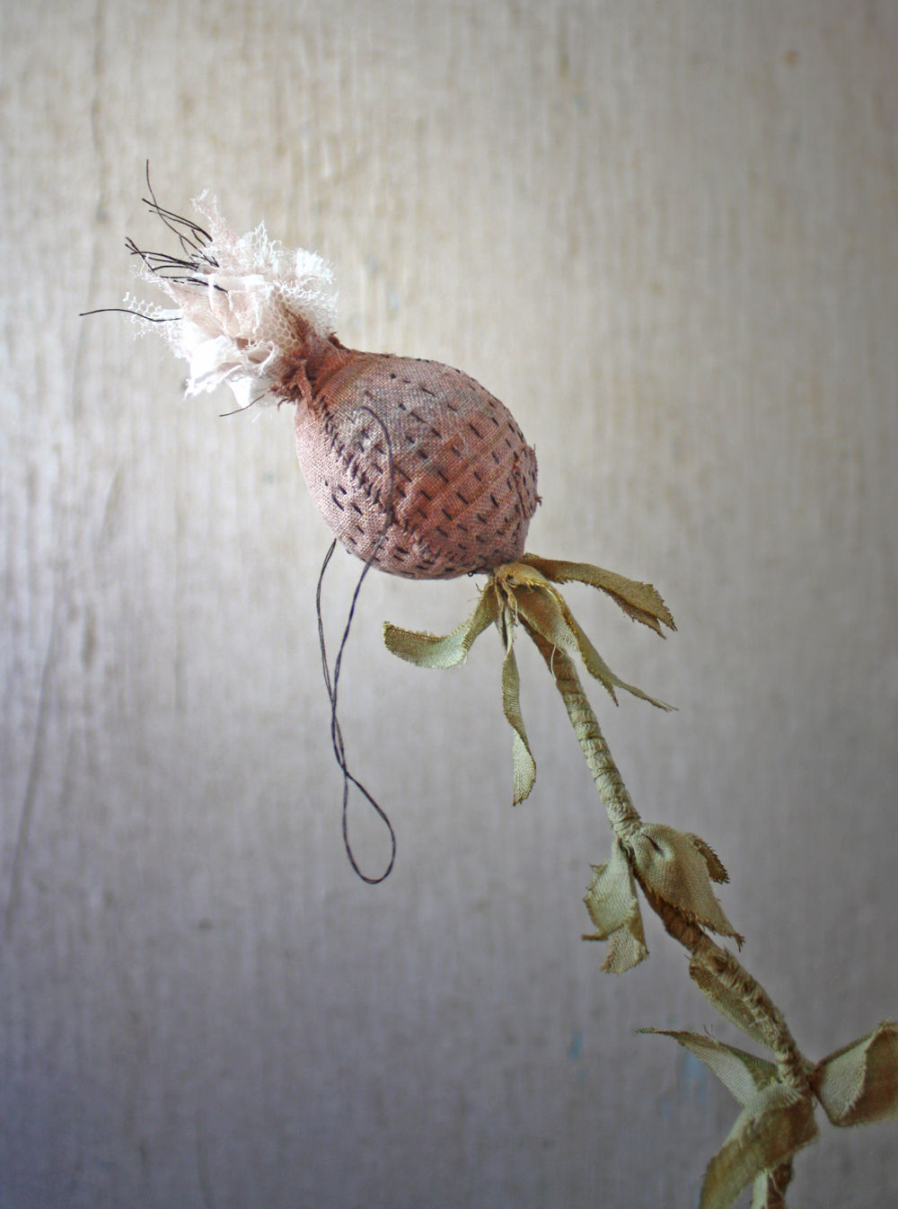 stitched seedpod 